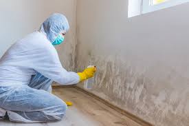 Best Mold Documentation for Insurance Claims in Centre, AL