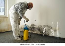 Best Mold Odor Removal Services in Centre, AL